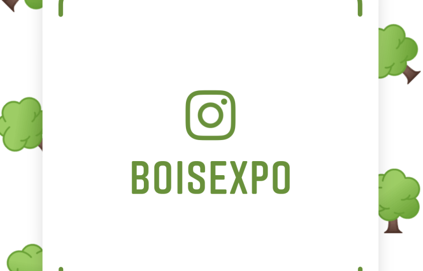 article-bois-expo