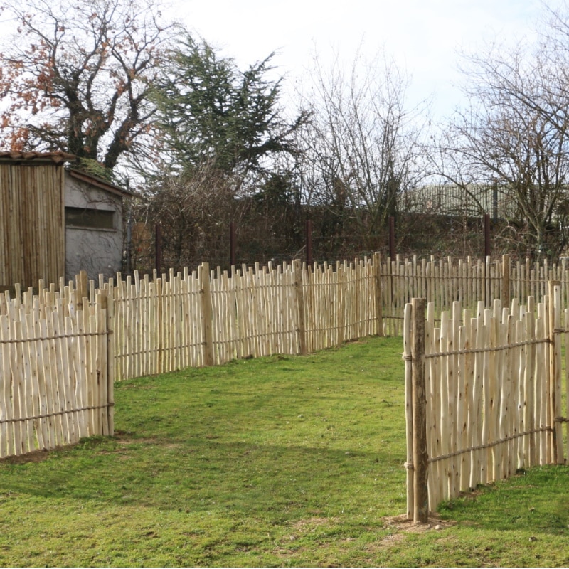 Clôture bois Papyrus  Cloture bois, Barrière bois jardin, Cloture jardin  bois