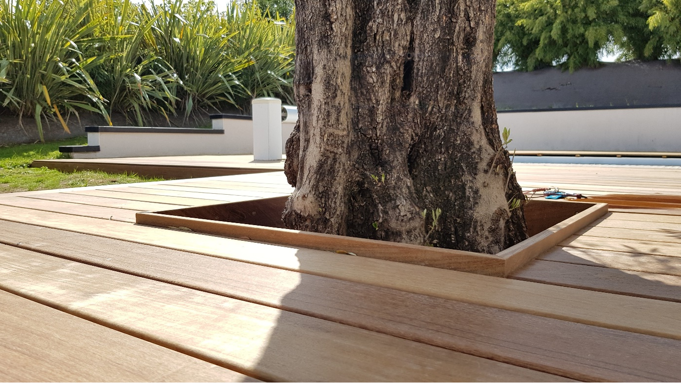 tour d'arbre terrasse bois