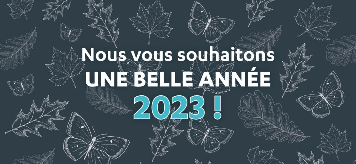 Nouvelle année 2023