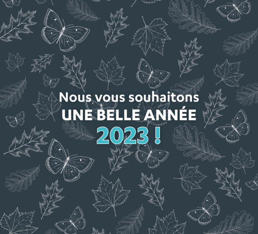 Nouvelle année 2023