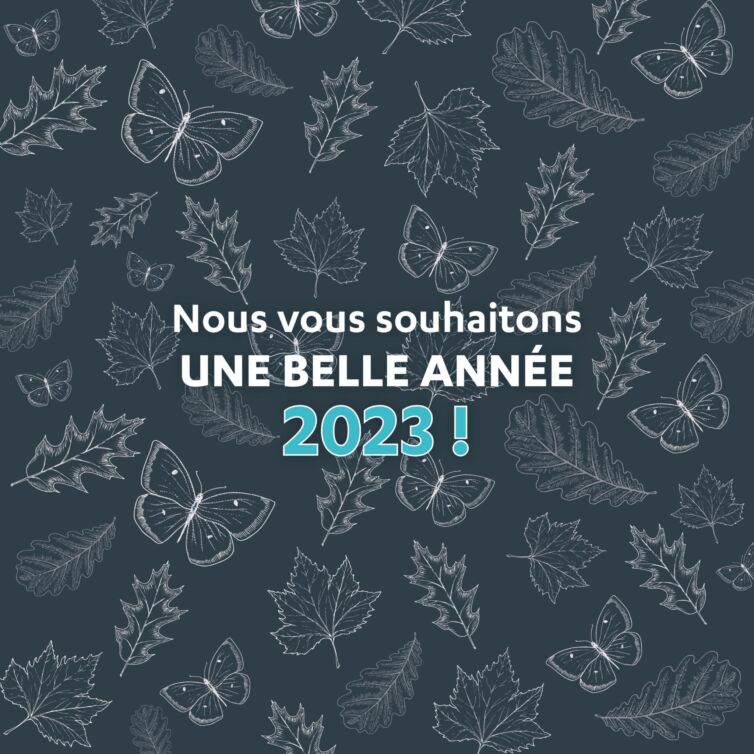 Nouvelle année 2023