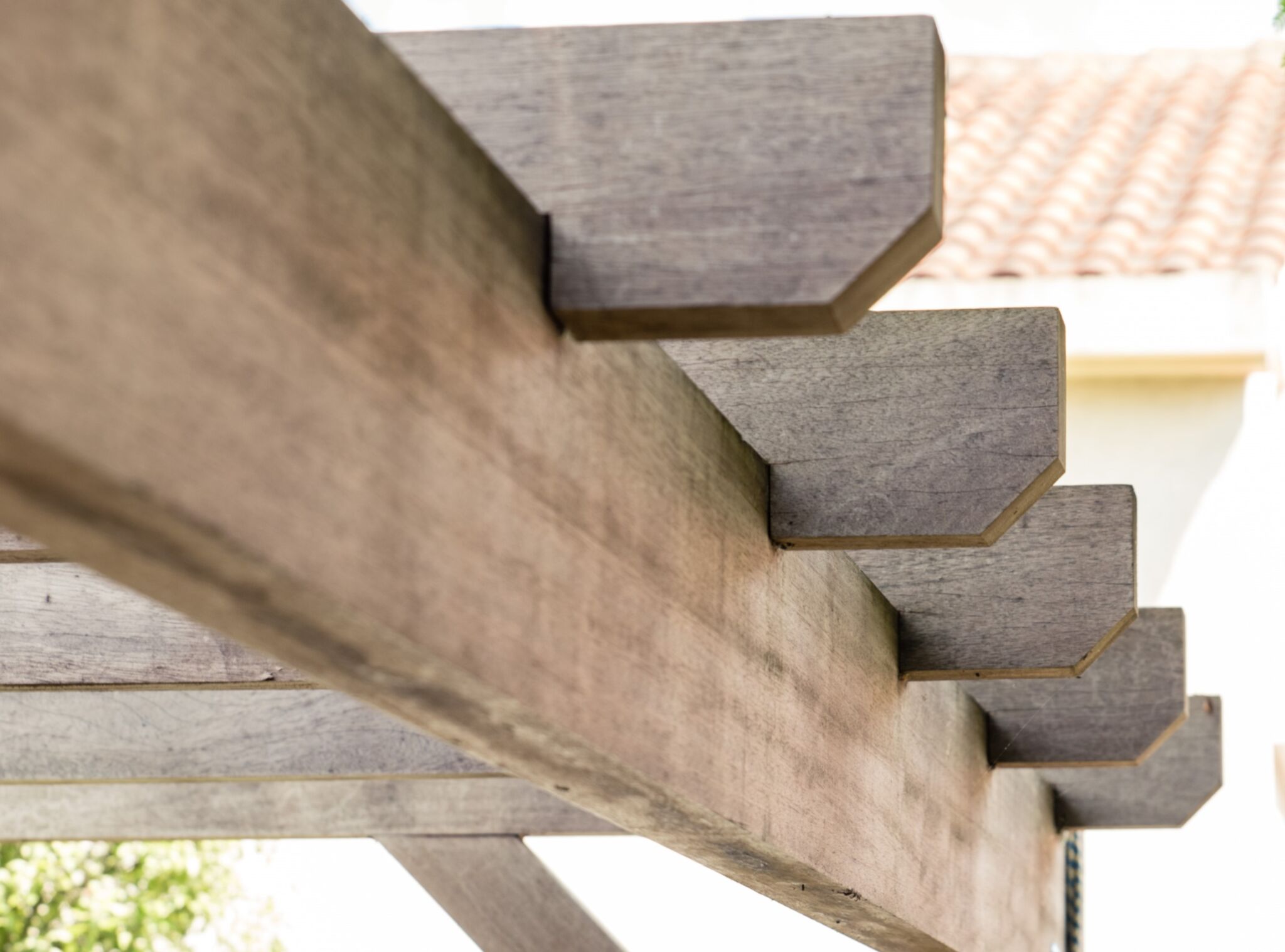 pergola iroko grimaud