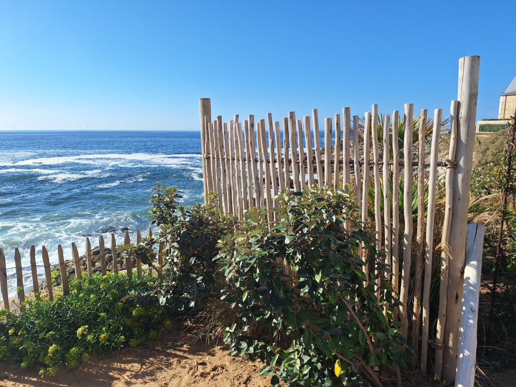 Vue mer avec clôture en bois et végétation.