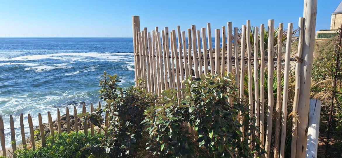 Vue mer avec clôture en bois et végétation.