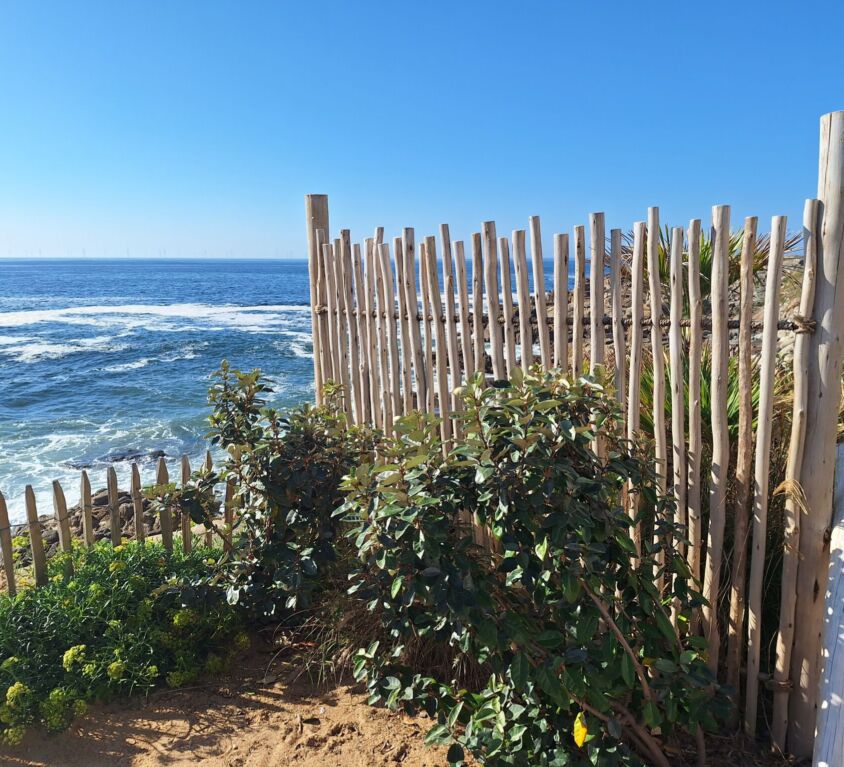 Vue mer avec clôture en bois et végétation.