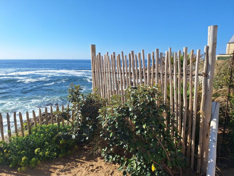 Vue mer avec clôture en bois et végétation.