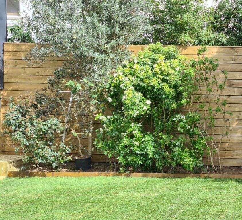 Jardin avec pelouse et haie en bois.
