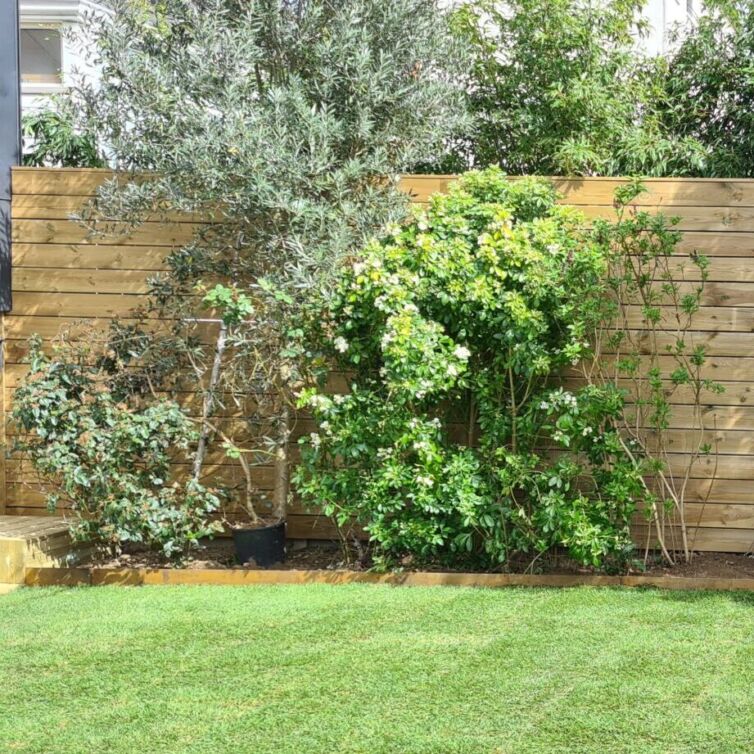 Jardin avec pelouse et haie en bois.