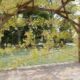 Pergola bois avec plantes grimpantes fleuries.