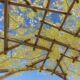 Pergola fleurie sous ciel bleu clair.
