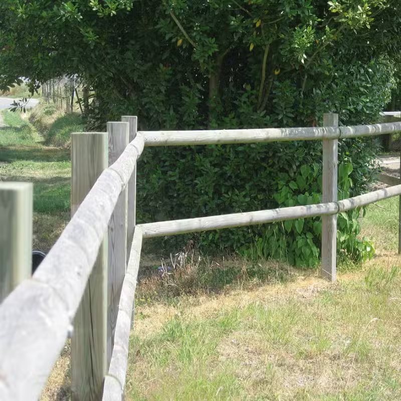 Clôture en bois près d'arbustes verts.