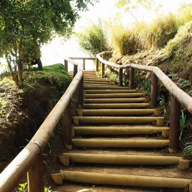 Escalier en bois dans un jardin naturel.