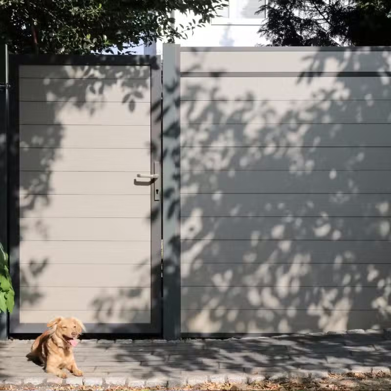 Chien assis près d'une clôture grise.