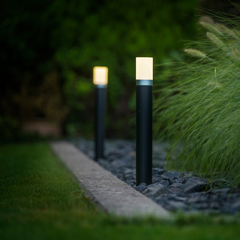 Lampadaires dans un jardin verdoyant, éclairage nocturne.